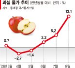 폭염·폭우가 끌어올린 '반짝 상승' 물가… "추석이후 더 걱정" [심상찮은 물가]