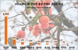 추석 홍삼 브랜드 소비자 관심도 1위 '정관장'이 차지.. 농협 '한삼인'은 2위