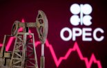 내년에도 유가는 70달러대..."OPEC+ 추가 감산 못할 듯"