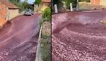 포르투갈 와인 저장고 폭발…'올림픽 수영장' 채울 만큼의 양 흘러