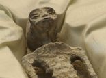'손가락 3개‧길쭉한 머리..1000년 전 외계인?'..멕시코 의회서 공개된 '이 물체'