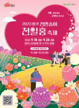 양주 '천만송이 천일홍 축제' 18~24일 개최.."가을 정취 만끽해요"
