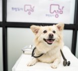 성남시립동물병원 22일 수도권 최초 개소...저소득층 반려·유기 동물 진료