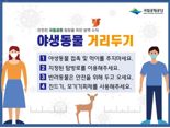 국립공원공단, '야생동물 조심' 캠페인 진행
