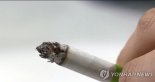 "담배 피우면 뇌도 쪼그라든다" 美연구진 확인