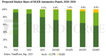 "차량용 OLED '올해 0.6%→2026년 8.9%' 성장"