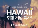 "12월 말부터 하와이 호놀룰루 취항"