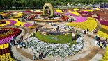 가을꽃 만개한 인제 꽃 축제 22일까지 연장
