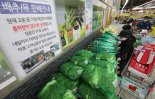 농관원, 배추 무 파  등 김장채소 안전성 기획조사