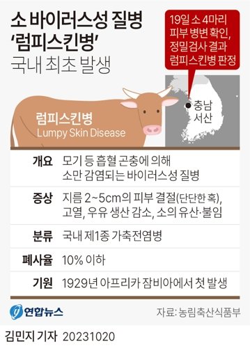 서산 한우농장서 럼피스킨병 국내 첫 발생 파이낸셜뉴스