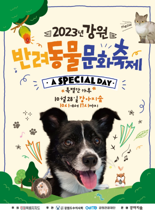 춘천 강아지숲서 오는 28일 강원반려동물 축제 개최