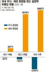 안전자산 선호에… 혼합형펀드 채권이 대세