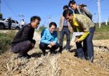 '전국 쌀귀리 60% 이상 생산'...강진군, 내년 재배 면적 1000㏊ 확대한다
