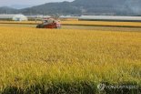올해 쌀 생산량 370만2000t...재배면적·생산량 동반 감소