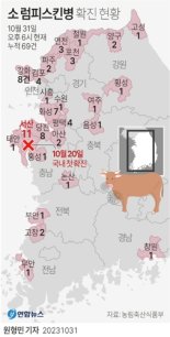 인천 강화·전북 고창서 소 럼피스킨병 추가 확진... 총 69건