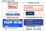 "태극마크 달고 정부 사칭한 불법 대출한 283개 사이트 차단"