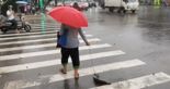 "두 눈 의심" 중국女…물고기에 목줄 채우고 산책
