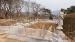 서울대공원 동물원·식물원도 '월동준비' 한다