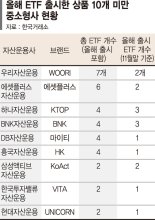 중소형 운용사 '틈새 ETF'로 시장 확대 나선다