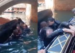 "모두 중국인"..사진 찍겠다고 베네치아 곤돌라 전복시킨 관광객들, 물에 '풍덩'