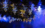 8만개의 빛과 음악 서울숲 수 놓는다