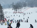 신한카드, 스키시즌 맞아 전국 스키장에서 최대 60% 할인