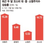 산타랠리 소외된 중소형주… 내년 1월 '반등의 시간' 오나