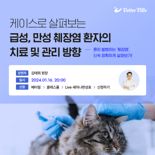 베터빌, ‘반려동물 췌장염 치료·관리 방향’ 온라인 세미나 개최