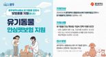 광주광역시, 호남권역 최초 유기동물 안심 펫보험 지원