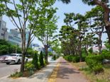 '푸른도시'로 거듭난다...광주광역시, 도시숲 25곳 추가 조성