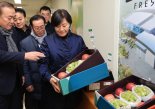 "설 성수기 과일 충분히 공급해달라" 송미령 농식품부 장관 현장 점검