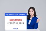 KODEX TDF2050, 3주만에 65억 최대 신규 유입 '눈길'