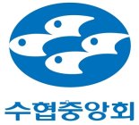 수협중앙회 '희망 바다' 만든다…예산 20억 투입