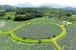 10년간 3만 6521명만 허락 '비밀의 정원' 울산 회야댐 생태습지 개방