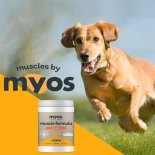 MYOS(마이오스), 한국 시장 공식 진출