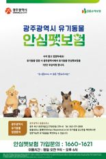 광주광역시, 유기동물 입양 시 1년간 보험비 전액 지원