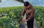 전남도, 친환경농산물 계약재배 청년농가 육성 나선다