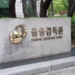 "금리 높아 정상 PF 사업장도 만기 연장 어려워" 금감원, 2금융 7~8곳 현장검사