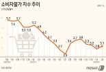 한은 "물가 둔화흐름 ‘울퉁불퉁’…생활물가 당분간 높아"