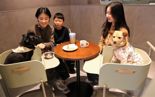 스타벅스, 일부 매장서 반려동물과 함께 하는 '펫 세미나' 개최