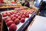 사과 도매가격 123%·배 135% 급등…추가 인상 가능성