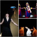 대한민국 대표 한국창작춤축제, 2024 제38회 한국무용제전 'Ecology 춤, 연대의 몸짓' 개최