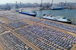 유럽 항구들, 중 전기차 수입 폭증에 주차장 신세