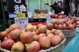 ‘金사과’ 이유 있었네… 기후변화 인한 사과·배 서리 피해 늘었다