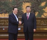 대만, 시진핑 마잉주 회담에 유감 표명