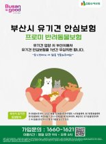부산시 "유기견 입양하면 1년간 펫보험 무료 지원"