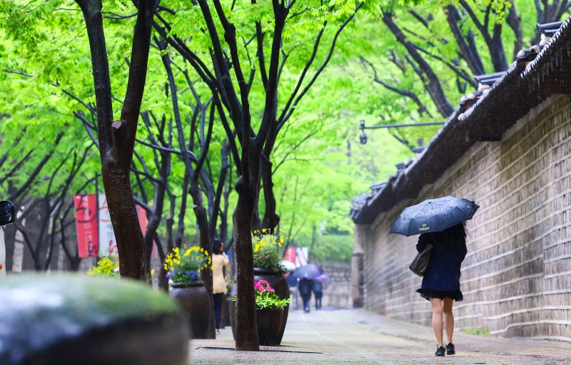 비 내리는 20일 서울 중구 정동길에서 시민들이 우산을 쓰고 길을 걷고 있다. 사진&#x3D;뉴시스