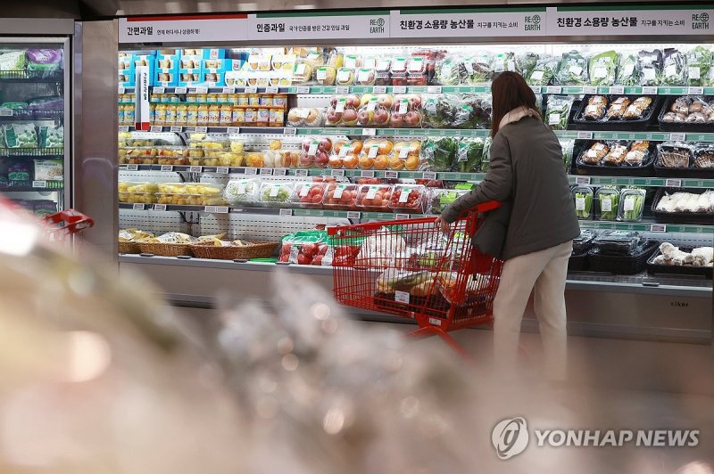 기록적 한국 식품 인플레OECD 평균 추월 35개국 중 3위 파이낸셜뉴스