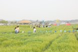 군산시, 축제 시민평가단 운영