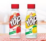 프랑스·캐나다에서 인기몰이한 '요플레 YOP(욥)' 국내 정식 출시